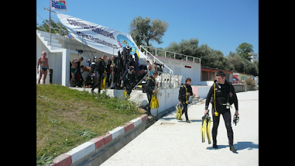 Scuba Academy